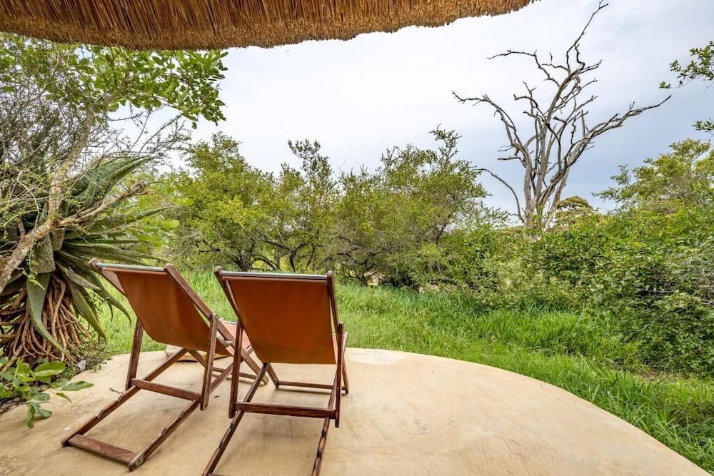 Umlani Bushcamp - Lodge 38/50