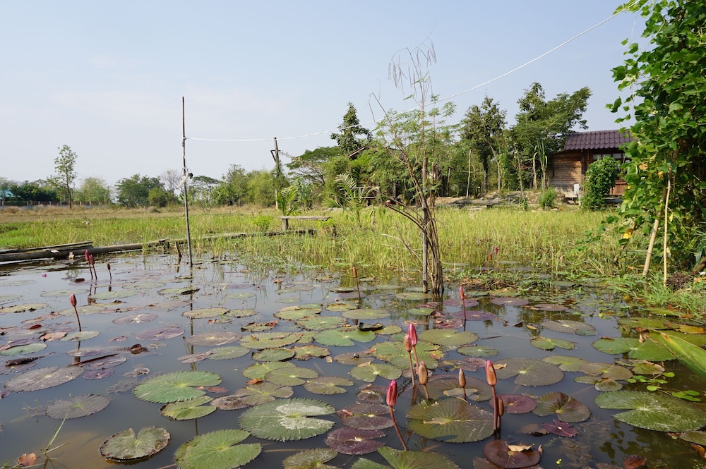 Sukhothai City Resort 42/50