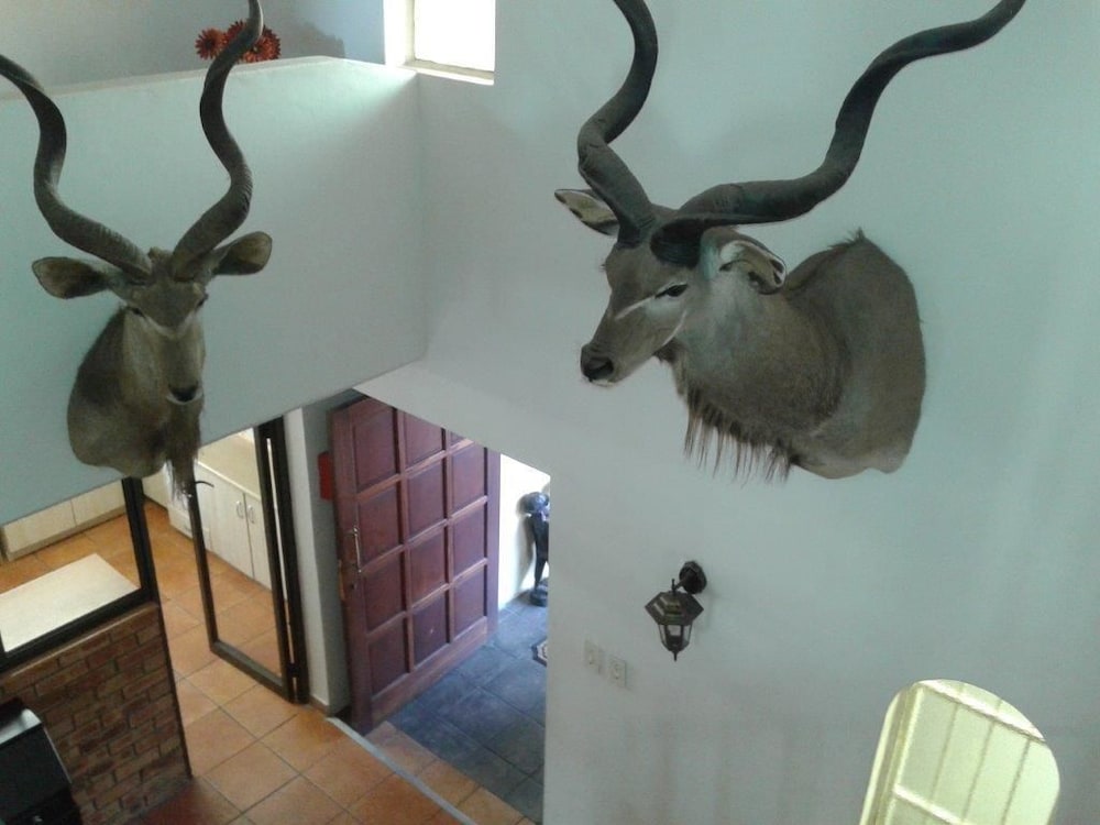Kalahari Guest House 22/50
