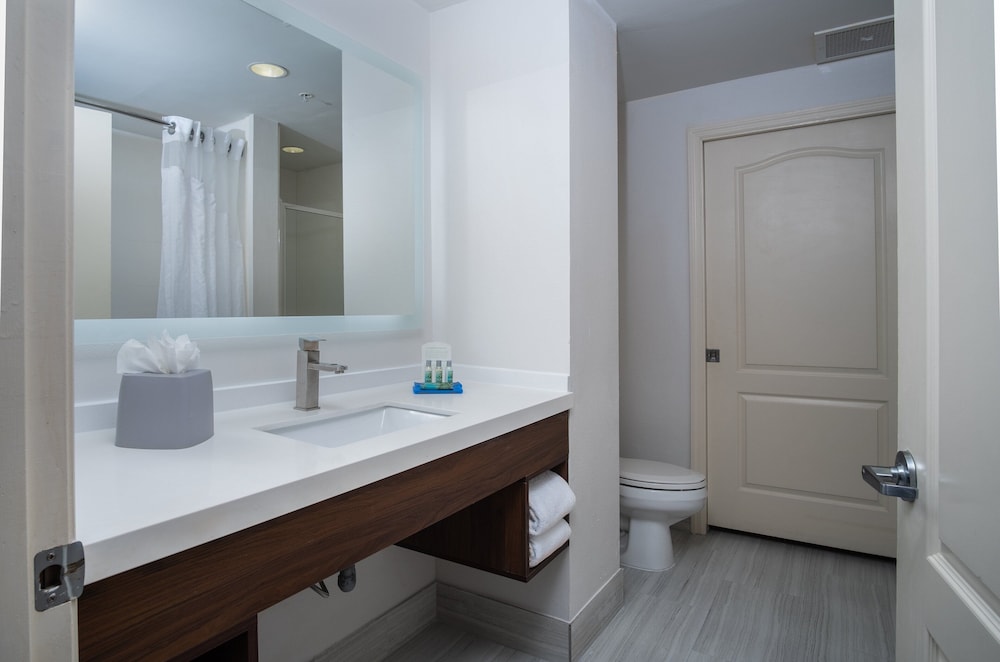 Holiday Inn Express and Suites Orlando - International Drive 22/79