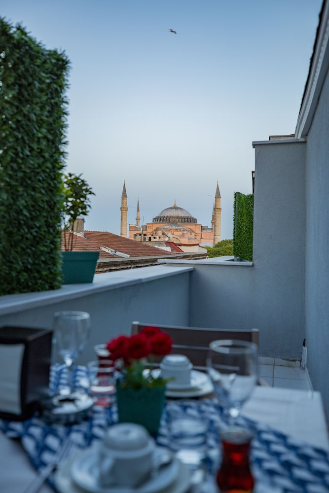 Albatros Hagia Sophia 8/50