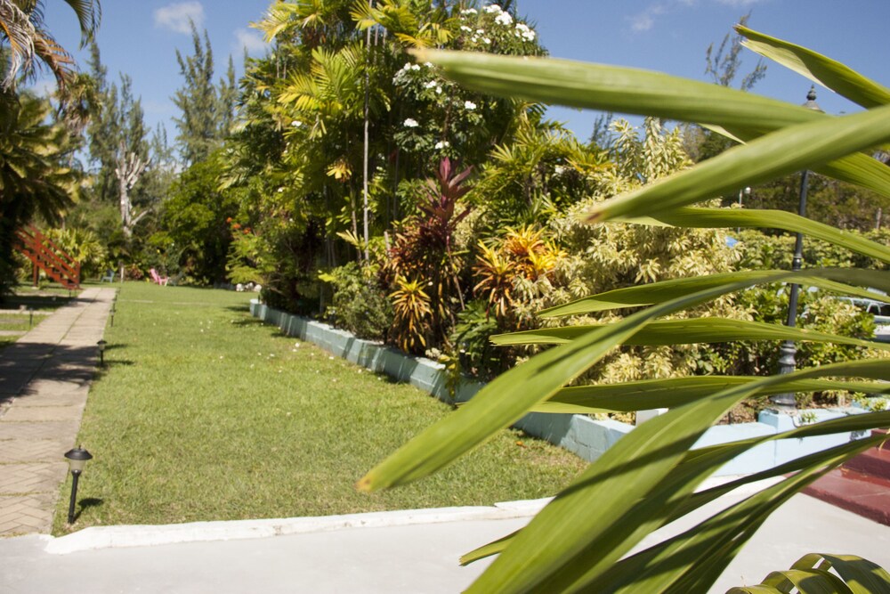 Palm Garden Hotel 40/50