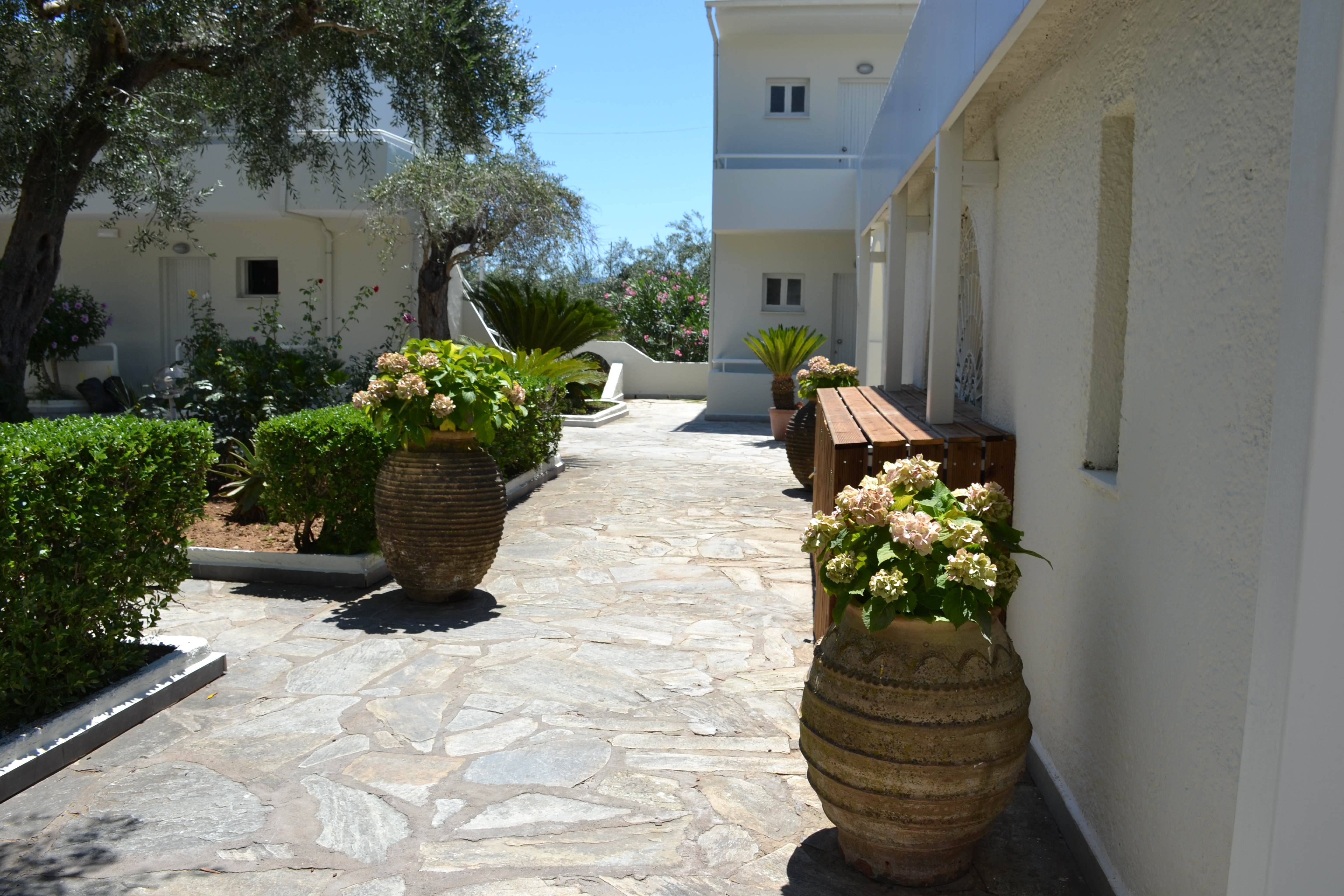 Dassia Holiday Club 24/30