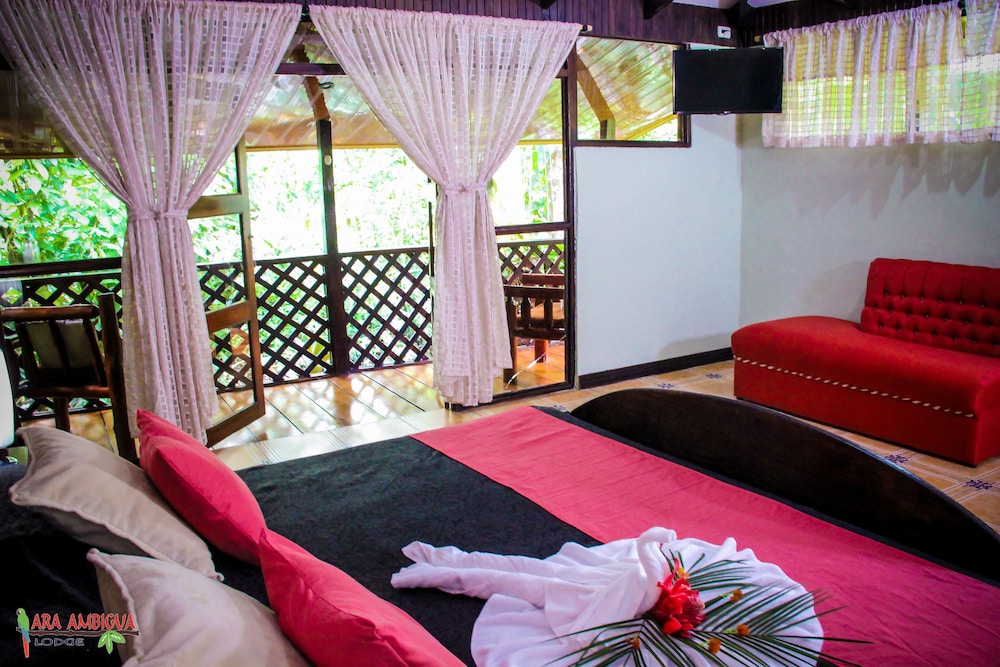 Ara Ambigua Lodge 11/50