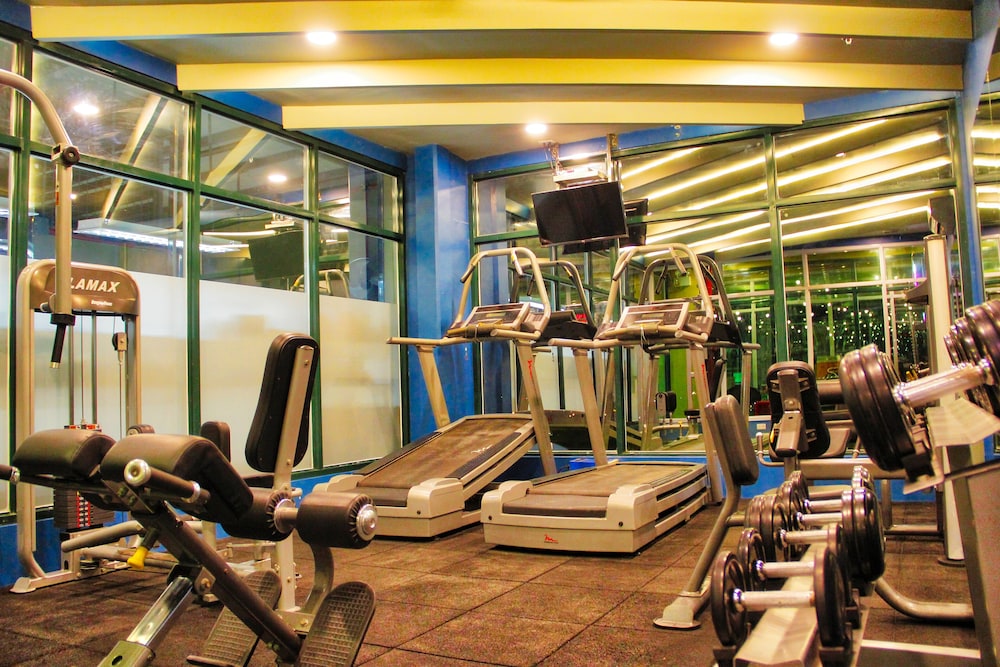 New Dawn Hotel Plus 45/79