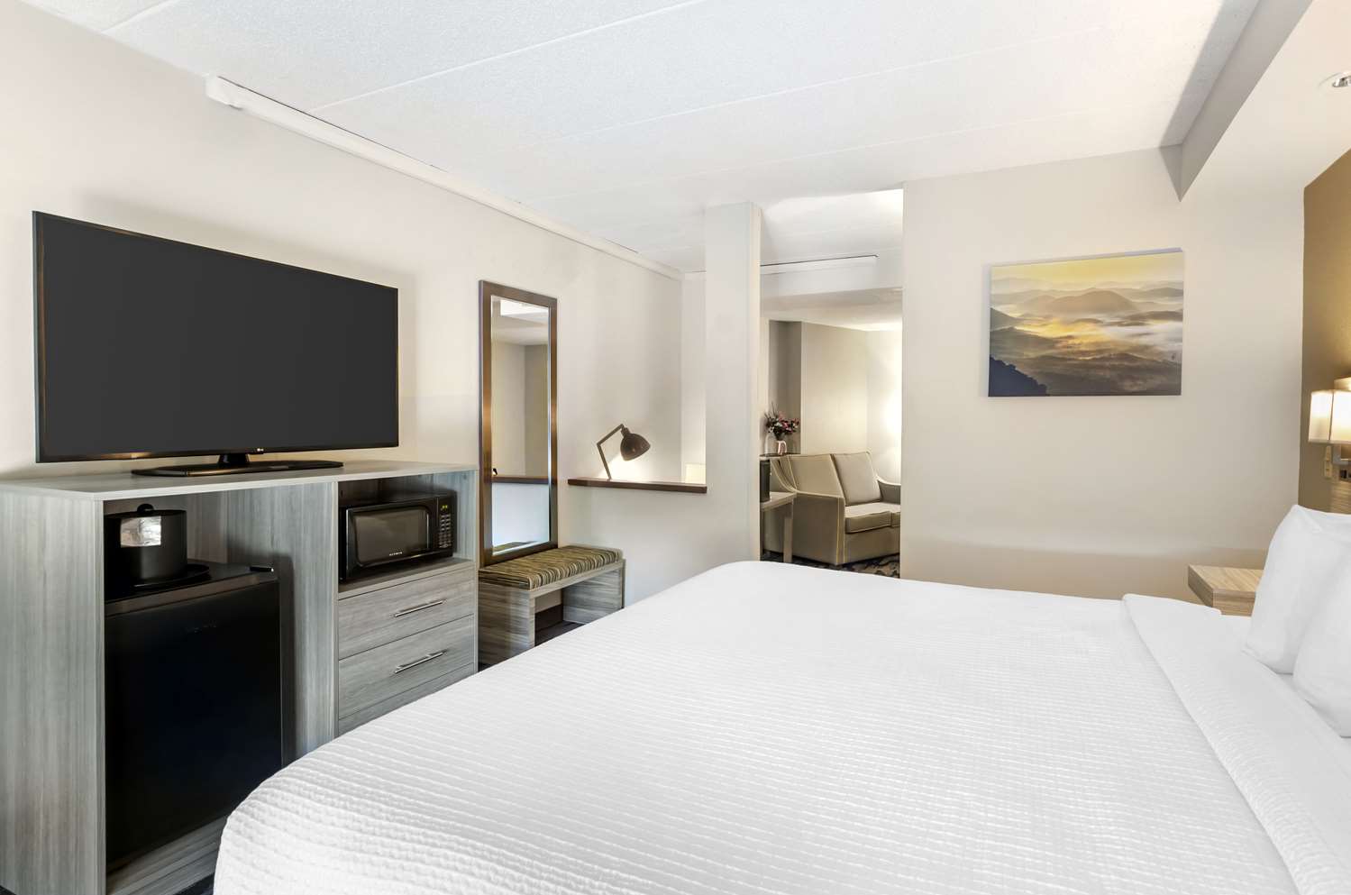 Suite, King Bed, Sofa, Bathtub, Accessible