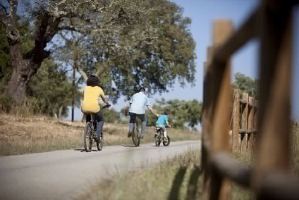 Monte Do Giestal Casas de Campo And Spa 46/50