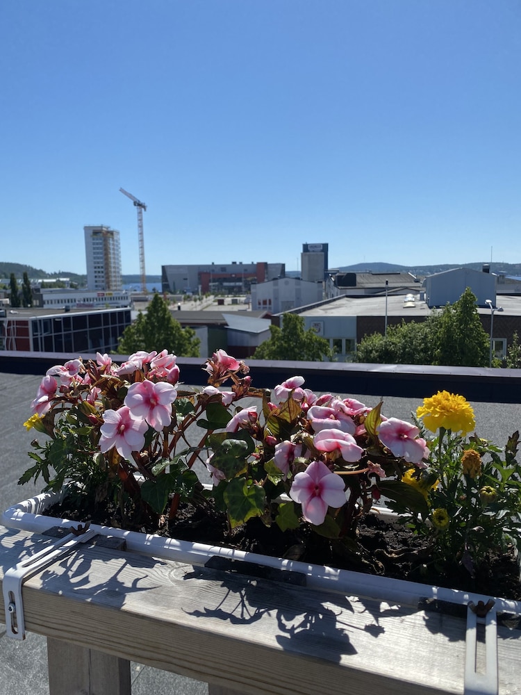 Strand City Hotell 4/50