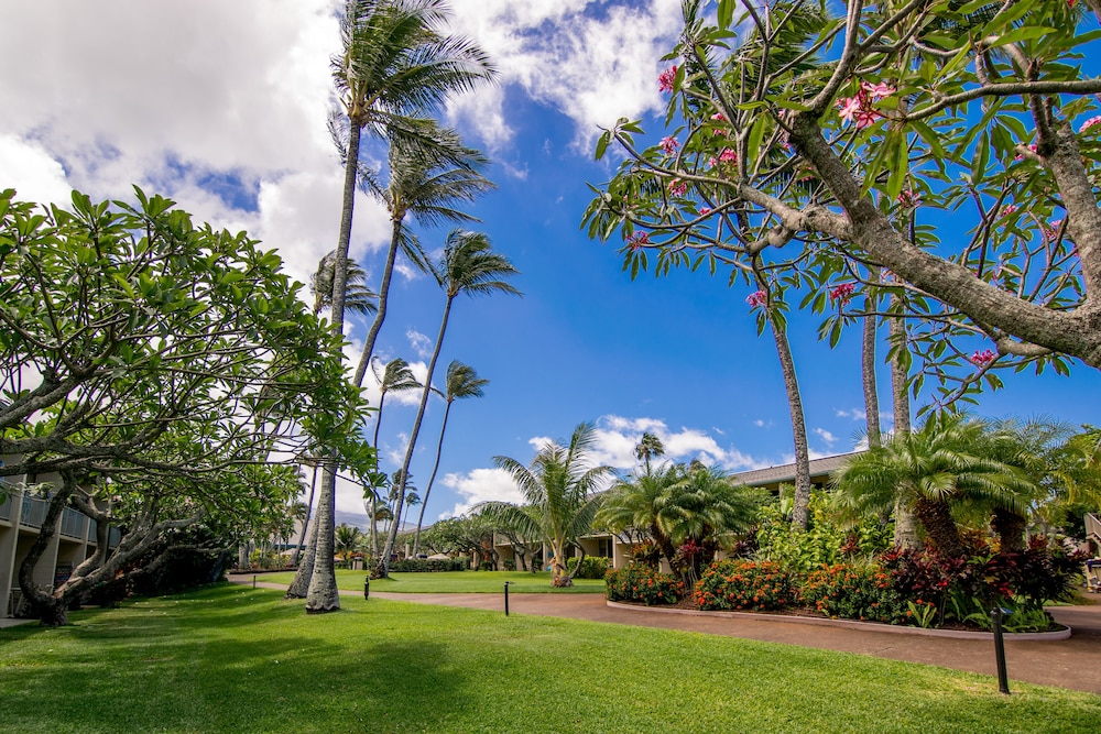 Napili Shores Maui by Outrigger 39/50