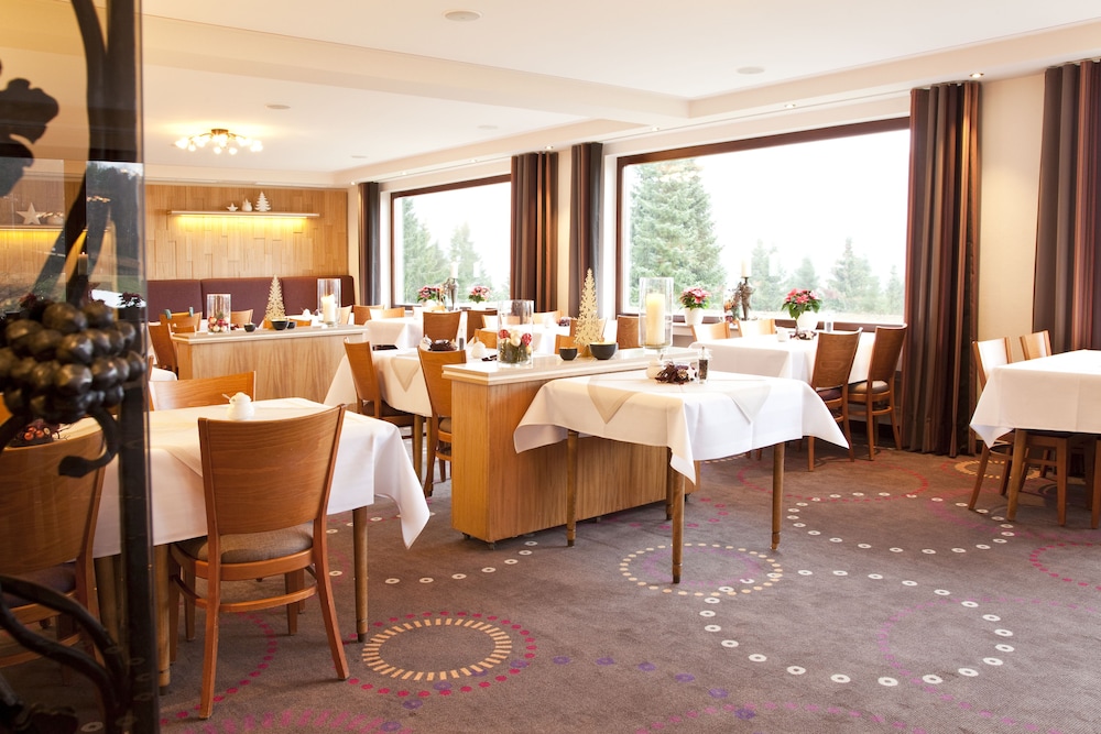 Wald Hotel Willingen 18/30