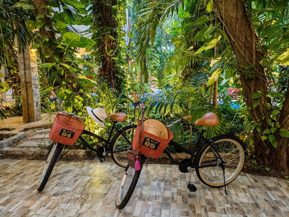 Hulku Playa Del Carmen 44/73