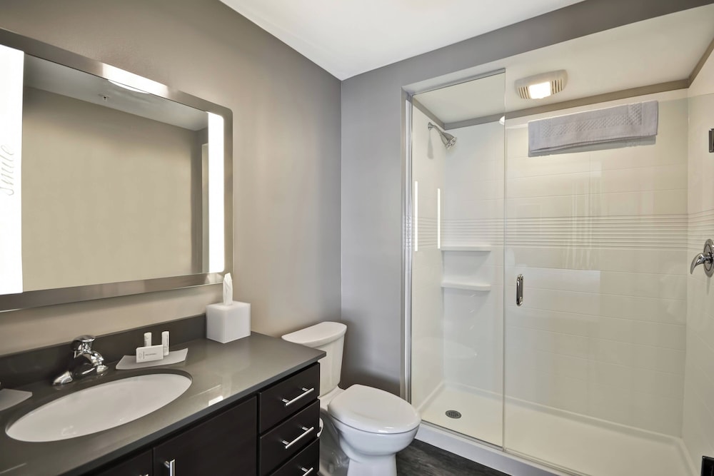 استوديو بسرير كينج مع أريكة لذوي الإعاقة، TOWNEPLACE SUITES CRANBURY SOUTH BRUNSWICK 3/6