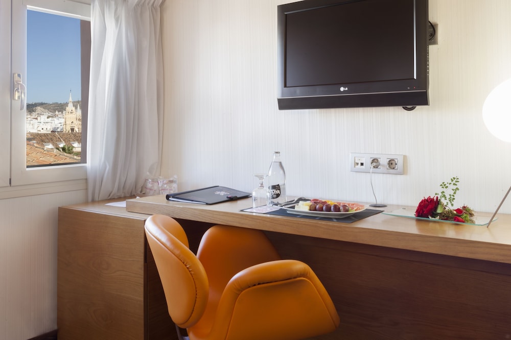 Petit Palace Plaza Malaga 36/44