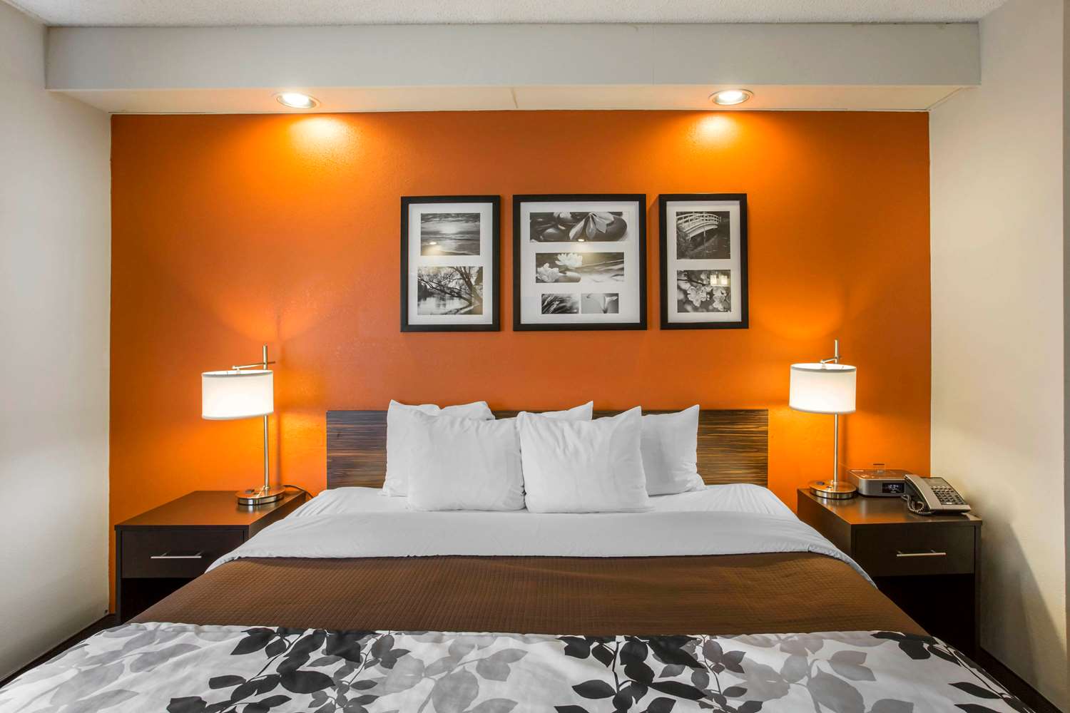 Sleep Inn Nashville Brentwood Cool Springs 8/42