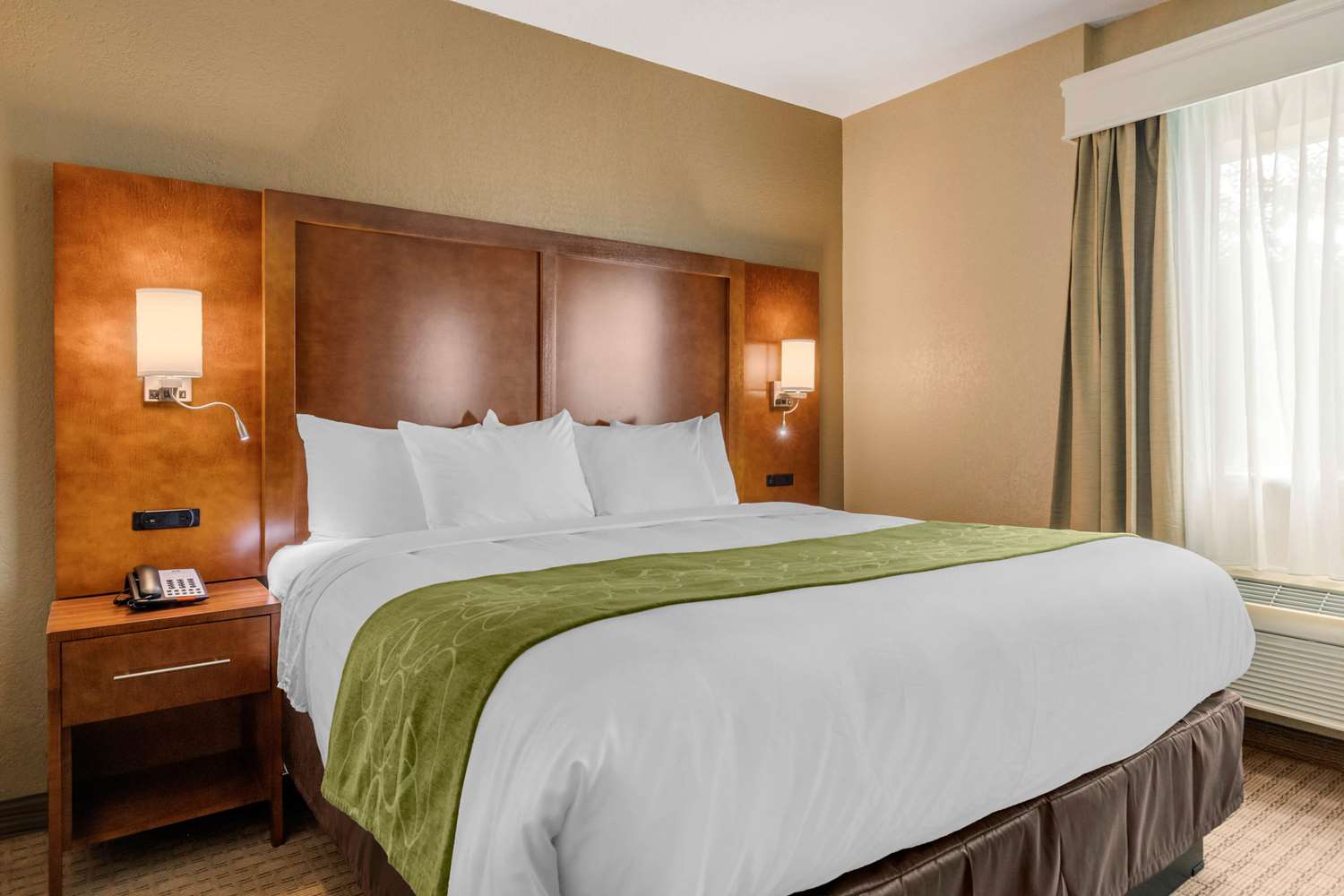 凯富套房酒店San Antonio机场北(Comfort Suites San Antonio Airport North) 图片4
