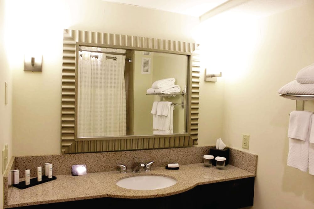 Embassy Suites Laredo Tx 14/46