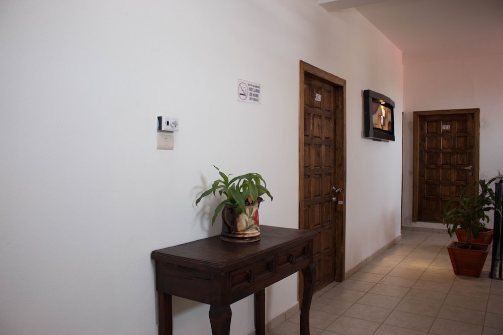 Hotel Cervantino 8/50