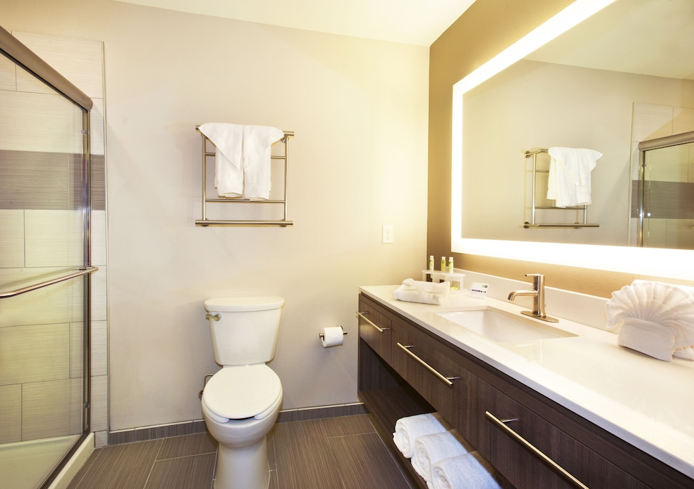 Holiday Inn Express And Suites Hot Springs 18/59