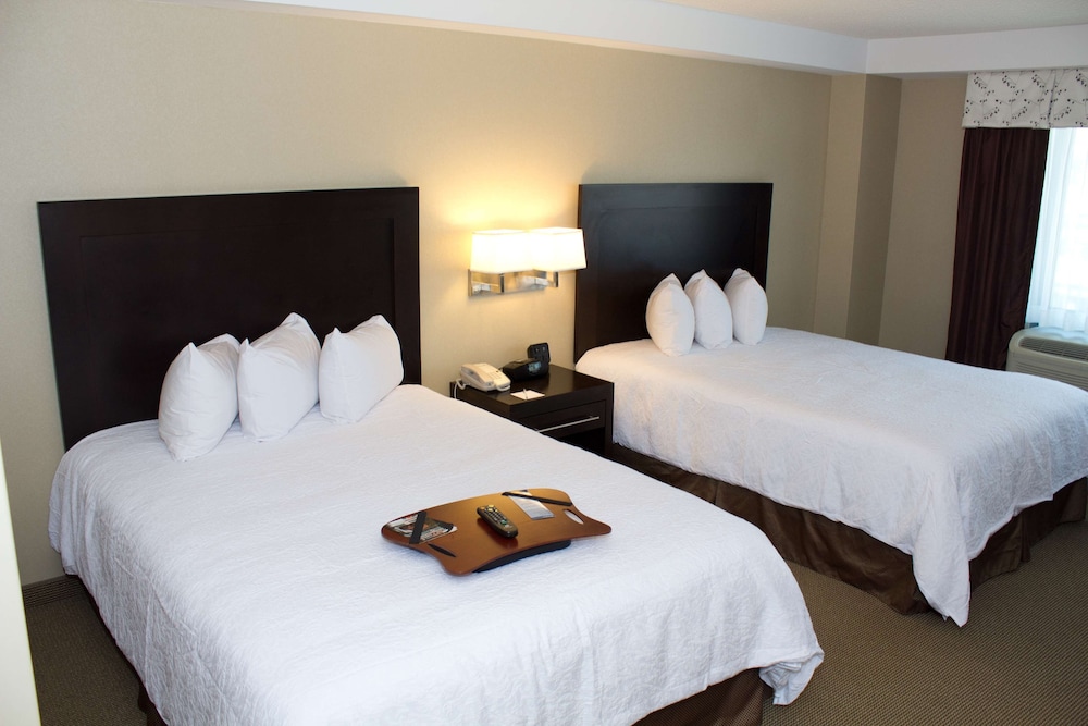 Hampton Inn and Suites Boston-Crosstown Center 18/49