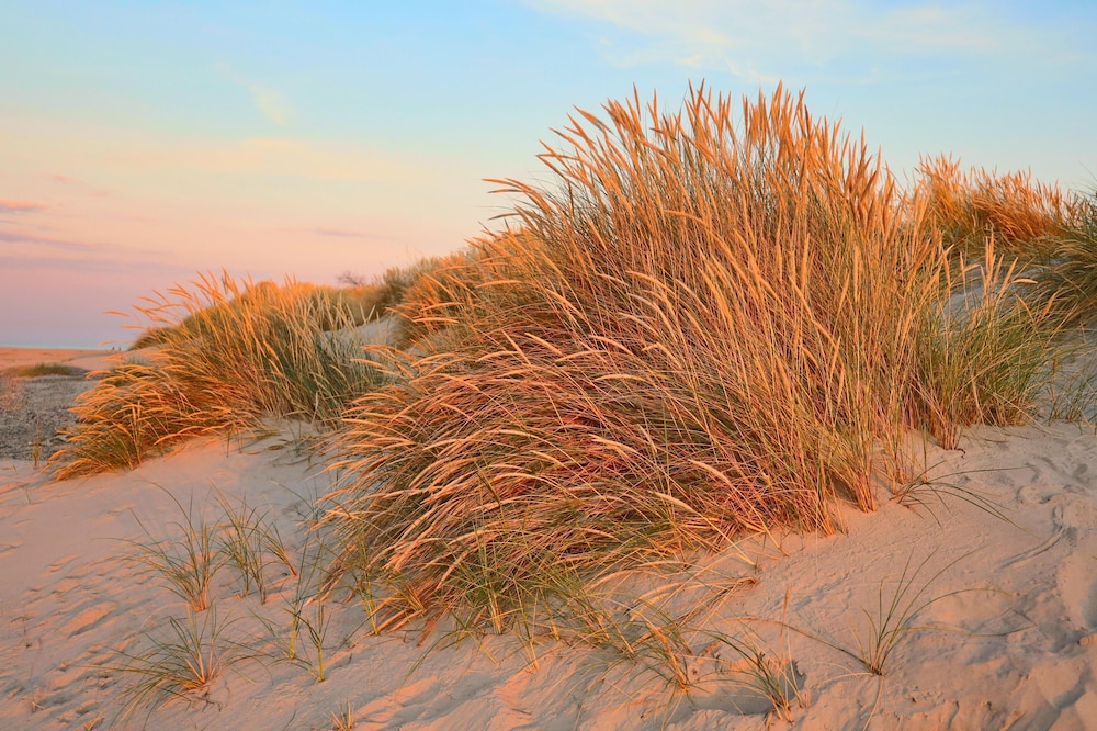 Hotel Strandly Skagen 57/63