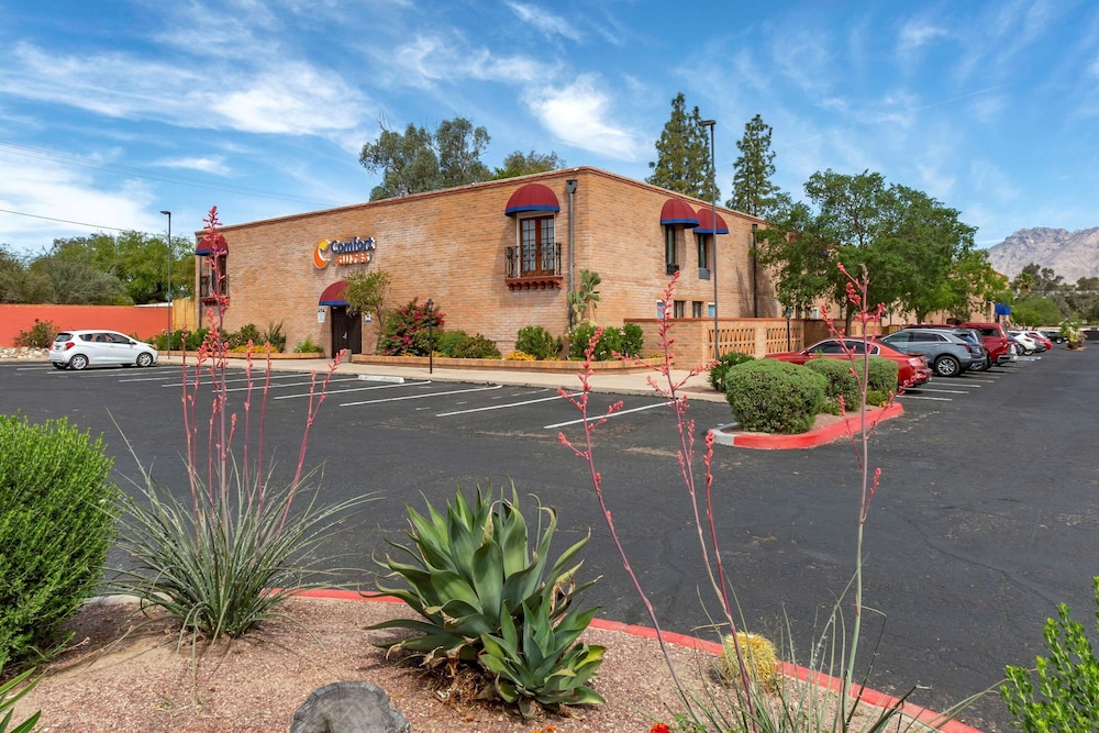Comfort Suites Tucson near Sabino Canyon 12/47