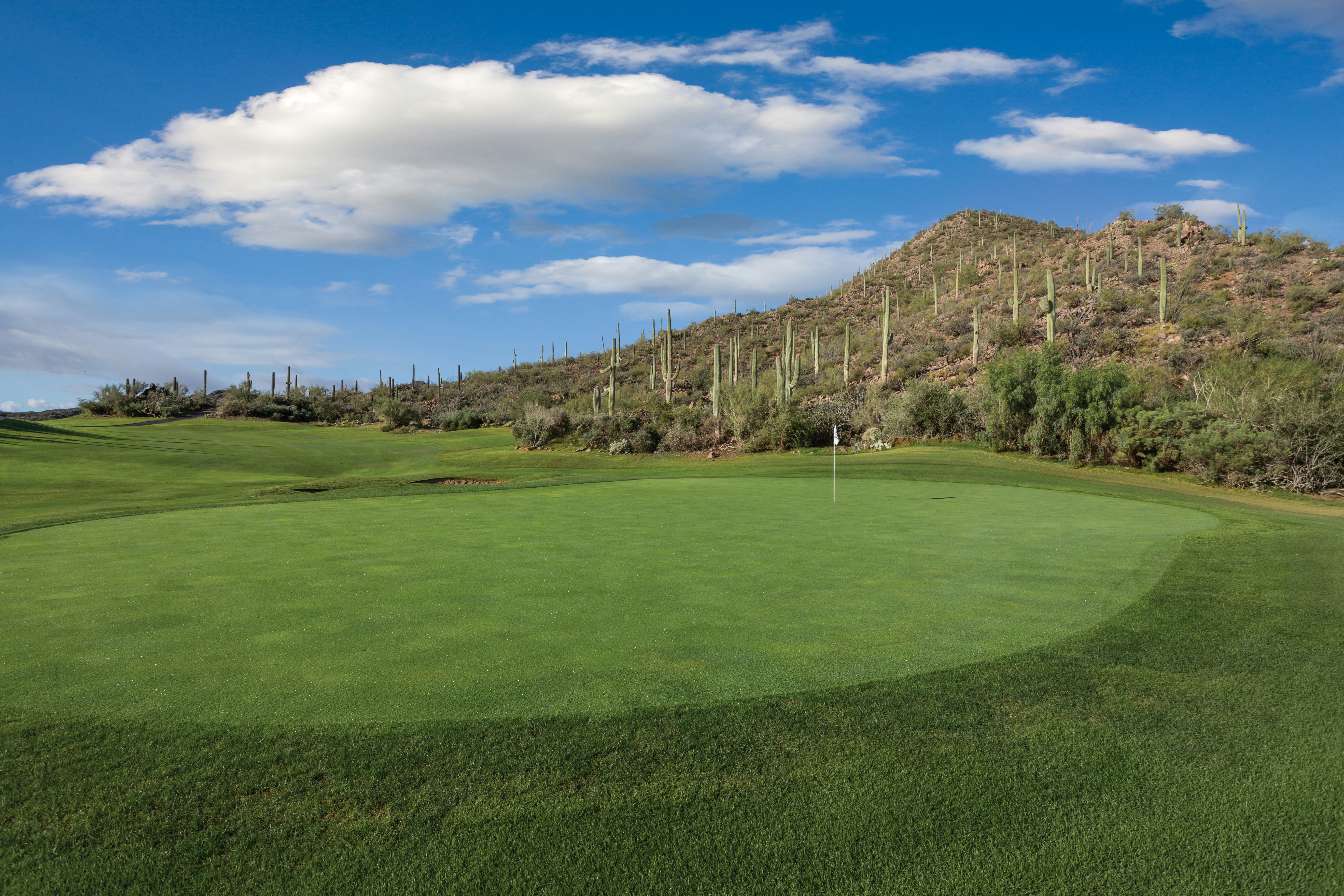Starr Pass Golf Suites 50/50