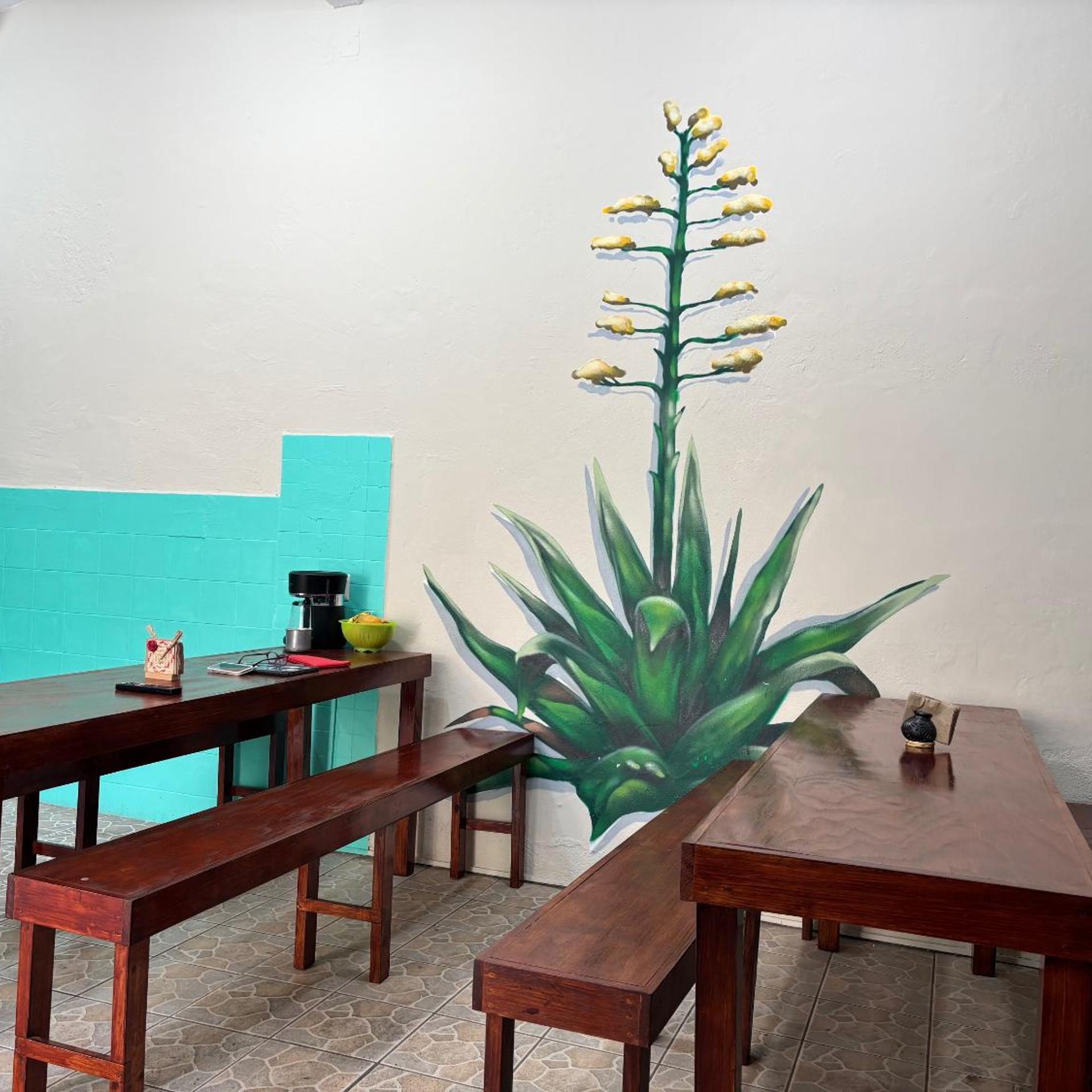 Hotel Casa Maguey 42/50