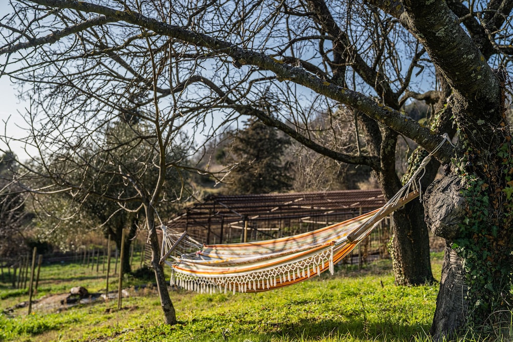 Terra Di Gradara 23/50