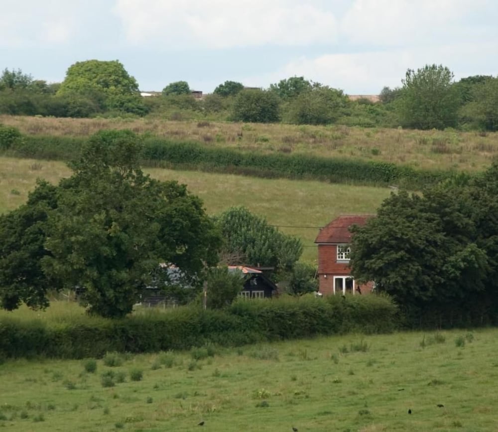 Bull Farm Studios 23/31