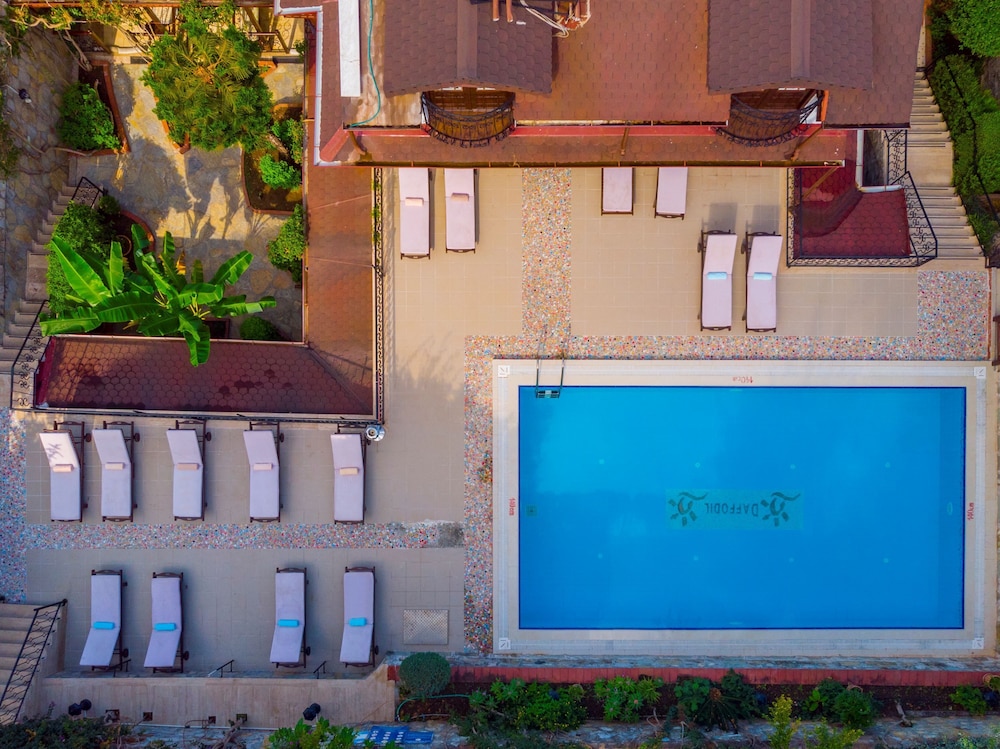 Villa Daffodil 6/46