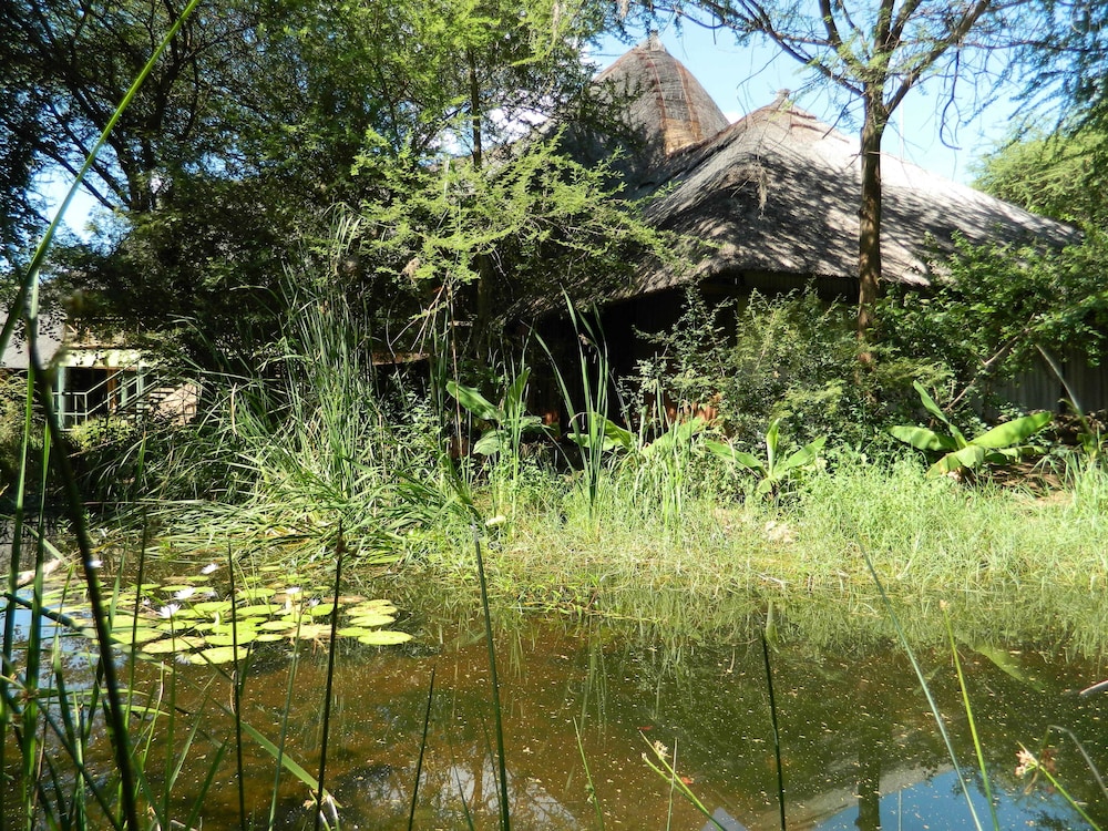 surroundings