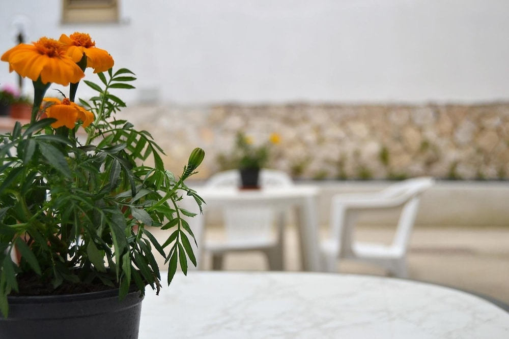 B&B Il Girasole 12/40