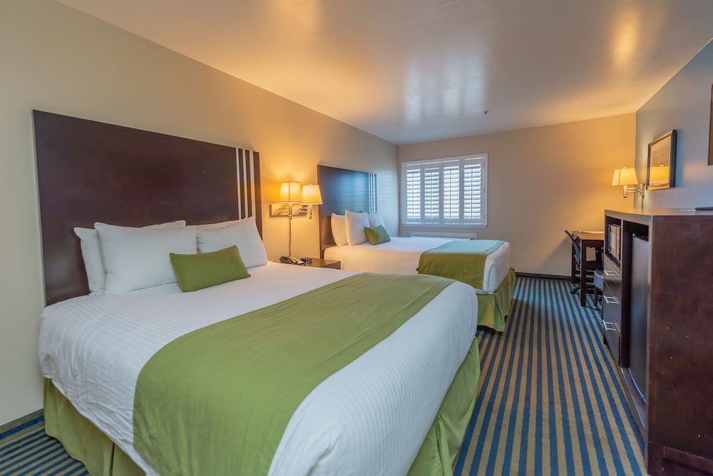 Ocean Pacific Lodge 10/40