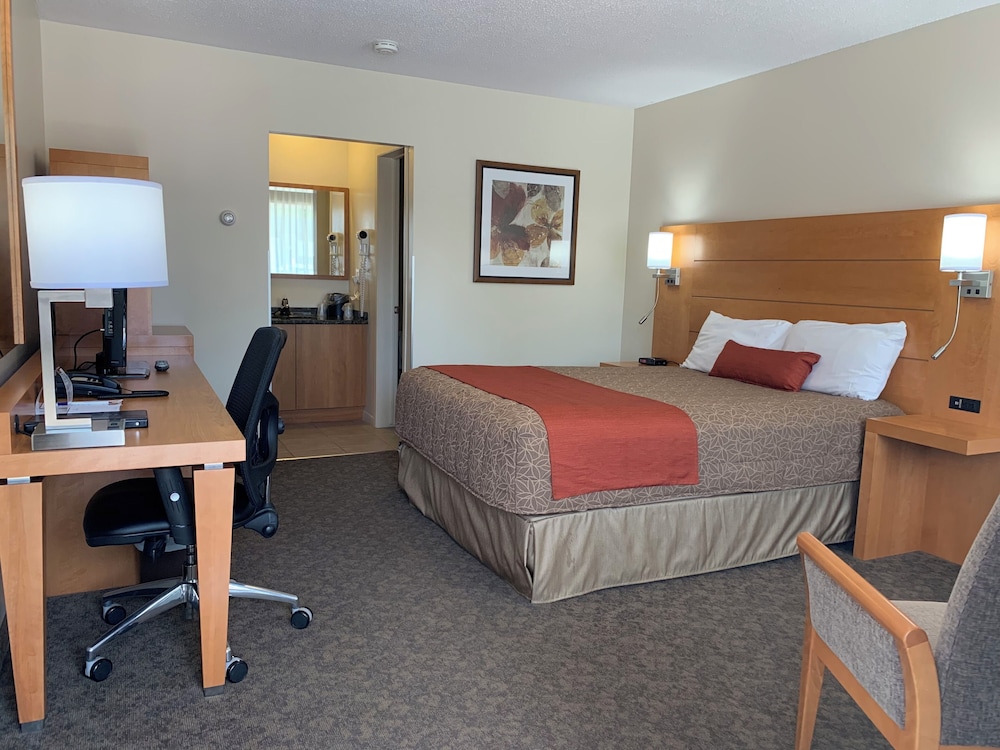 Motel Adam 60/70