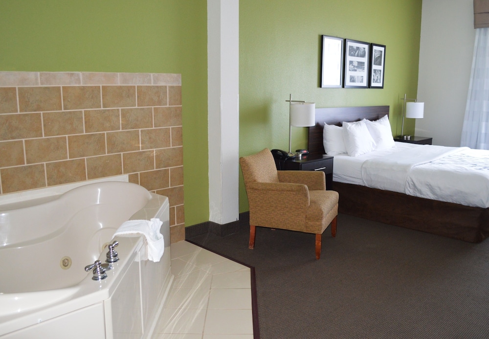 Sleep Inn & Suites Virginia Horse Center 21/53