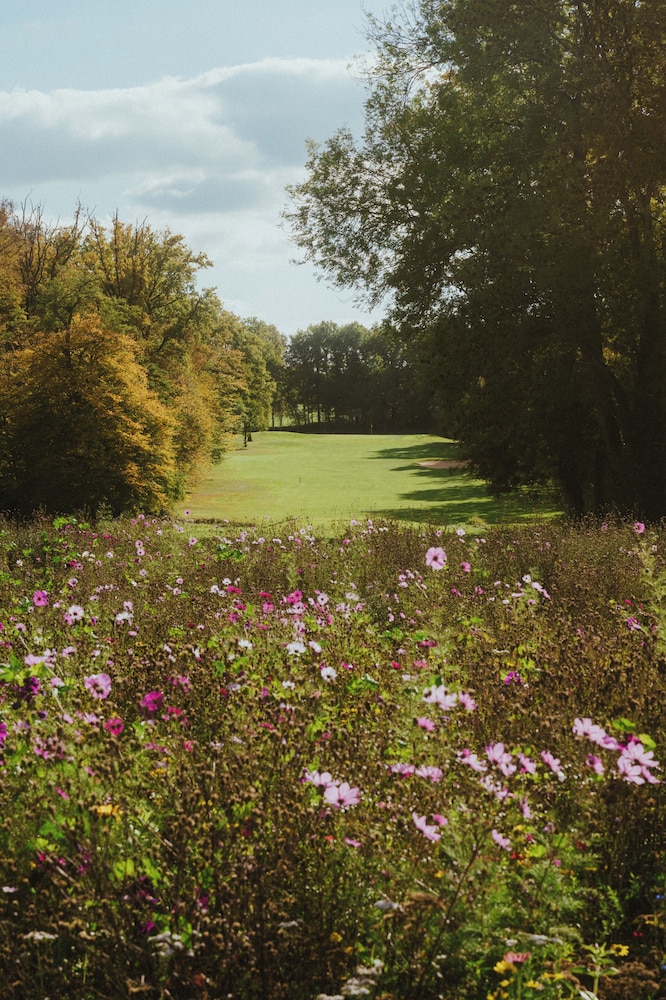 DOMAINE DU RONCEMAY 35/41