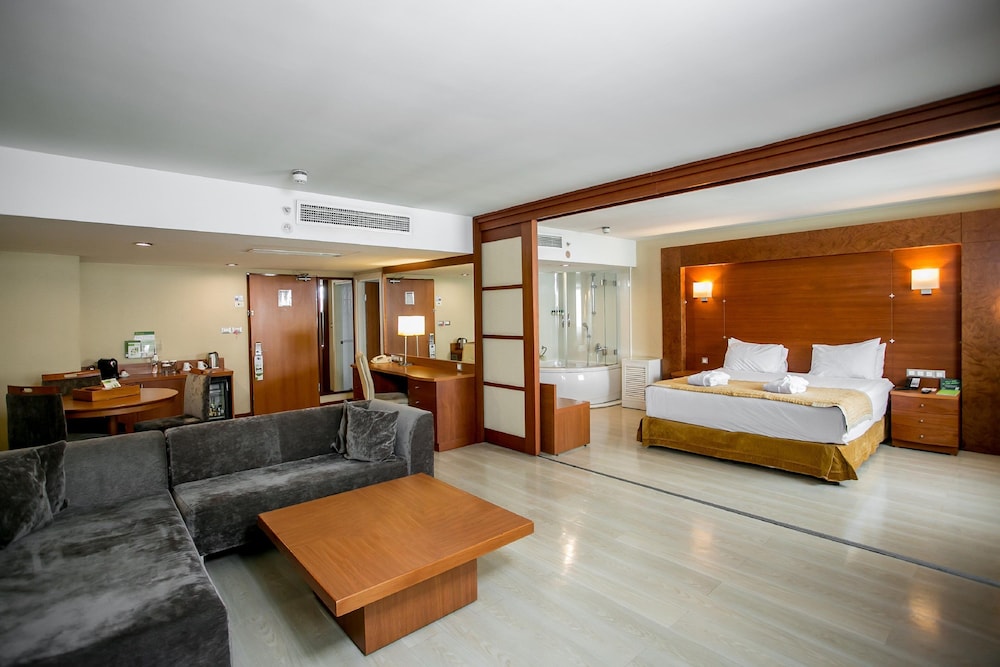 Holiday Inn Istanbul City 30/77