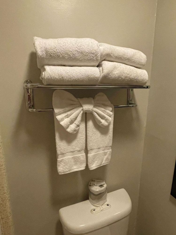 Surestay Plus Hotel By Best Western Mountain View 38/70