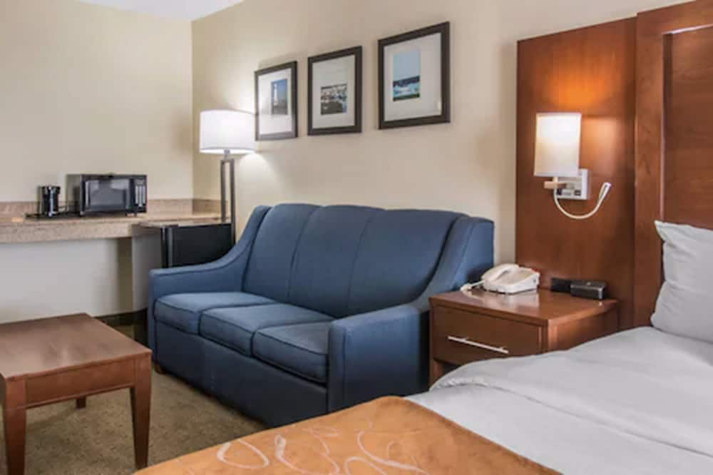 Comfort Suites Wixom - Novi 21/32
