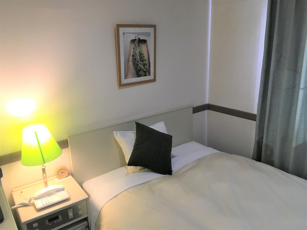 Matsumoto Wellton Hotel 11/26