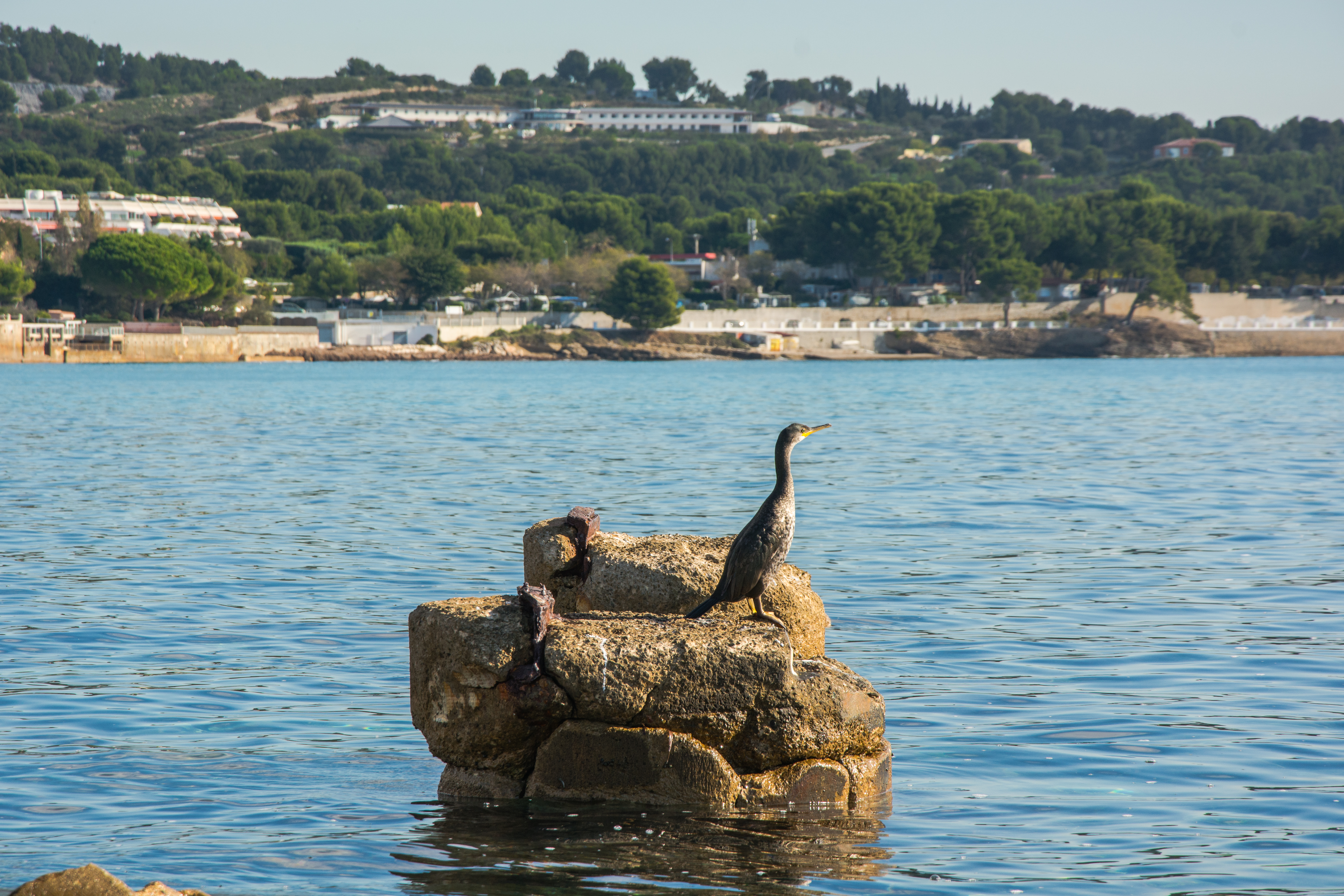 HOTEL PLAGE SAINT JEAN 28/30