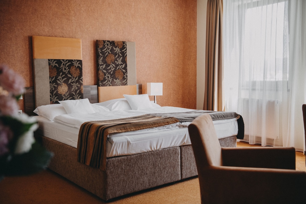 Hotel Belassi Bojnice 15/43