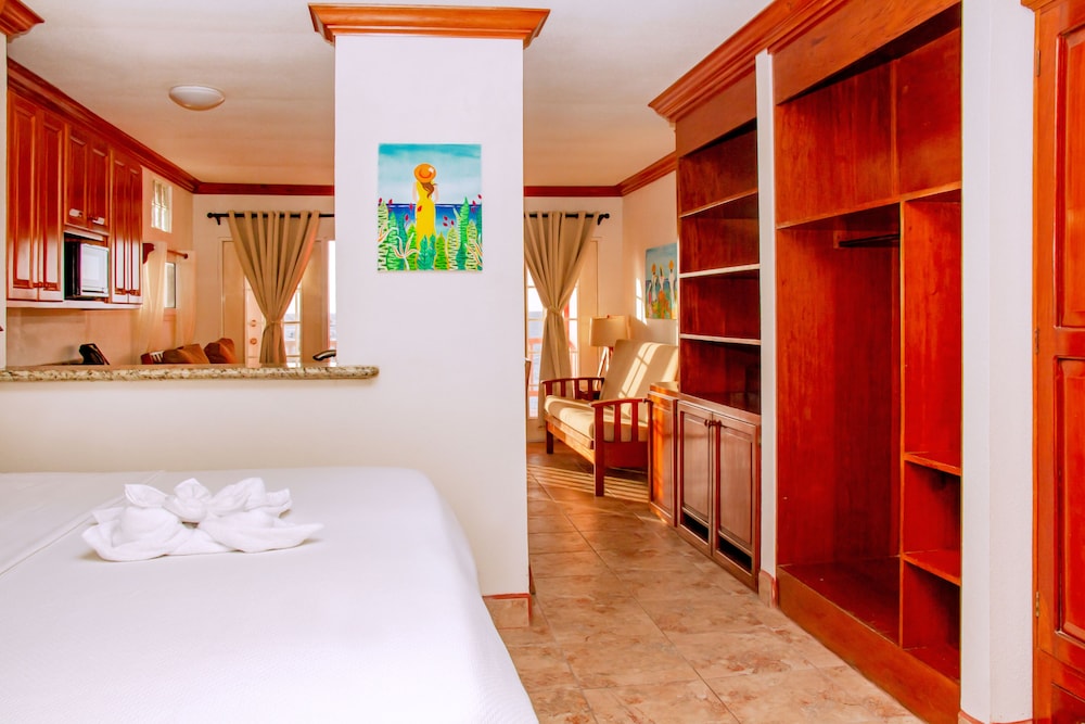 Mayan Princess Hotel 18/50