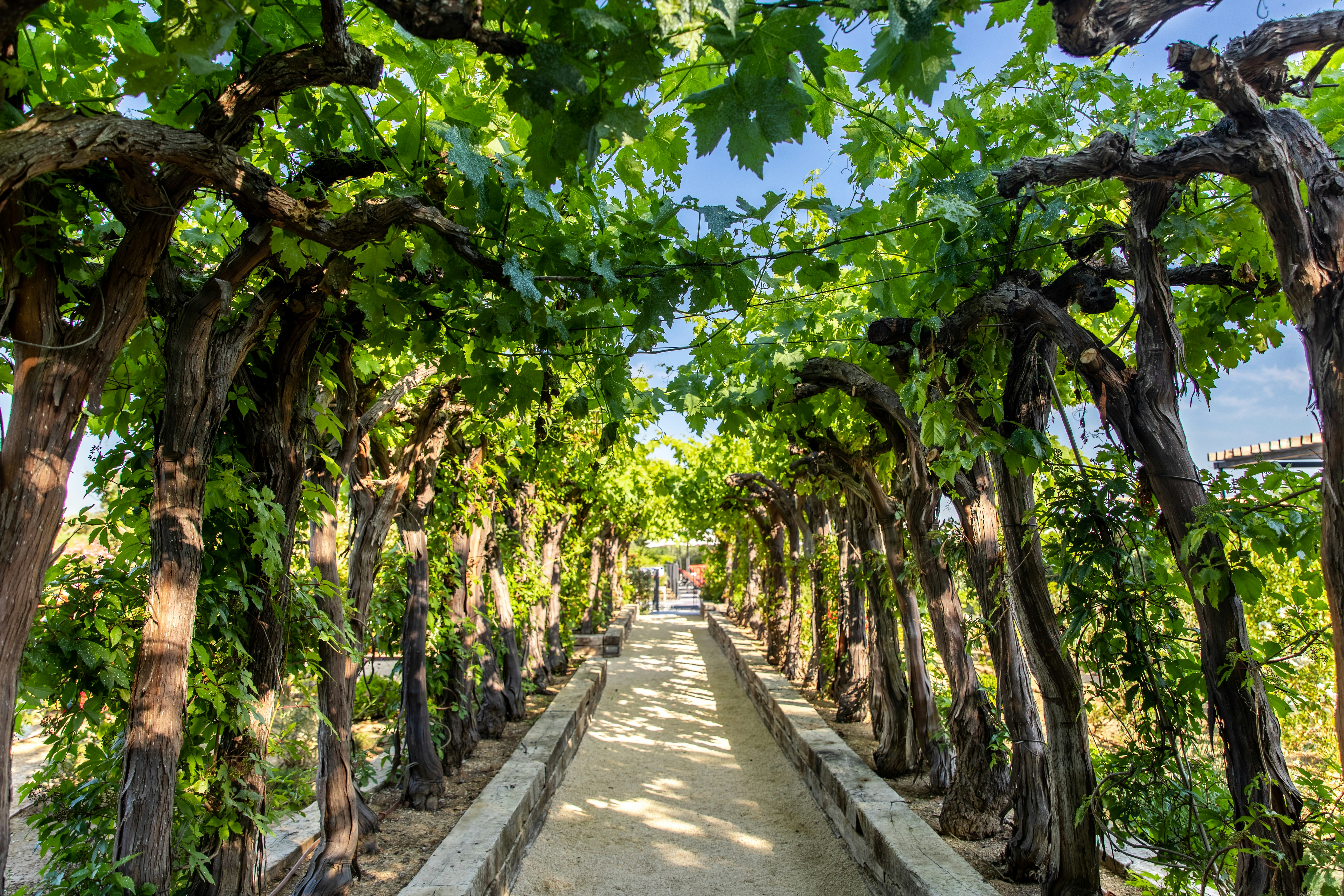 Ultimate Provence Hotel & Spa 13/20