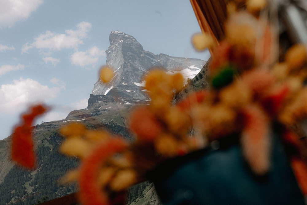 Overlook Lodge By Cervo Zermatt 46/50