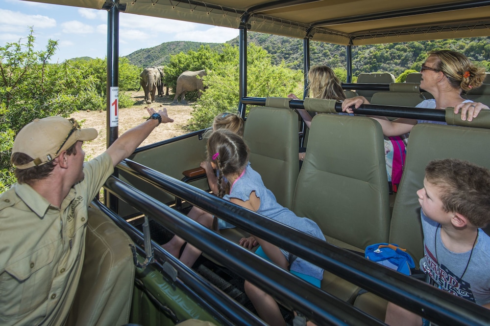 Shamwari Game Reserve - Riverdene 29/50