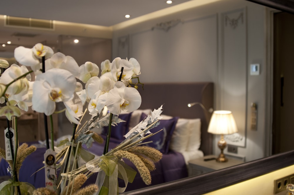 TK Taxim Bosphorus Hotel 28/50