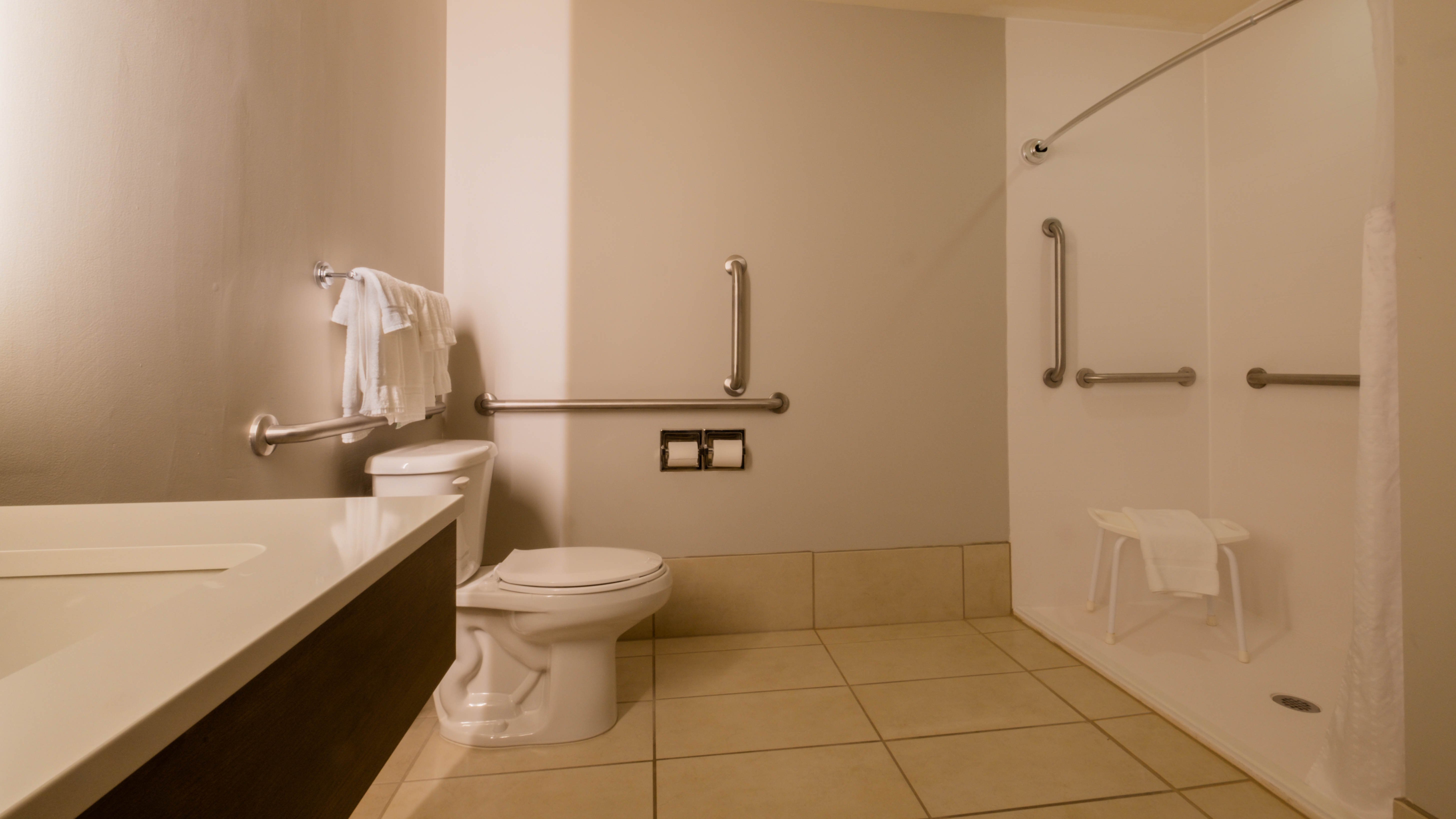 Holiday Inn Express Hotel And Suites Mankato East 73/76