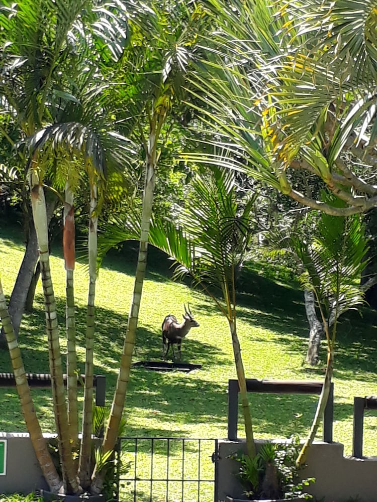 Sandpiper Guest House 34/38