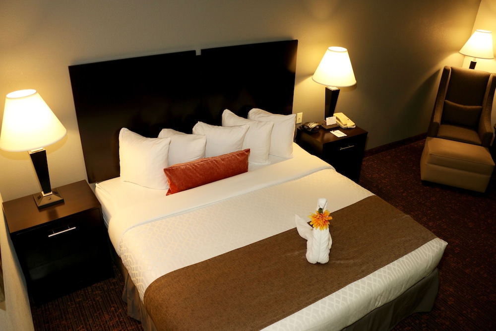 Best Western Plus Omaha Airport Inn 8/41